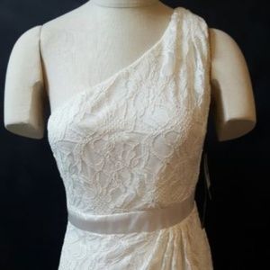 Simply Liliana One-Shoulder Ivory Lace Dress